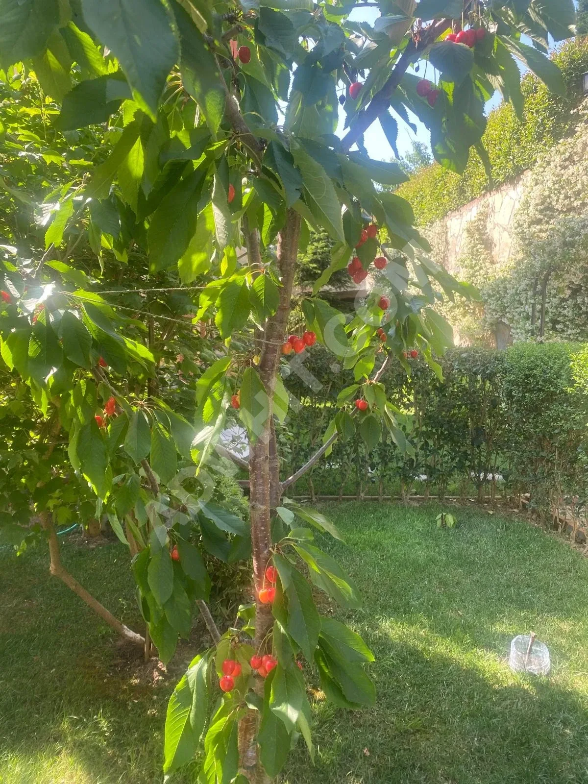 Şile Çavuş Mahallesi’nde Havuzlu. Güvenlikli 4+1 Villa görsel 12