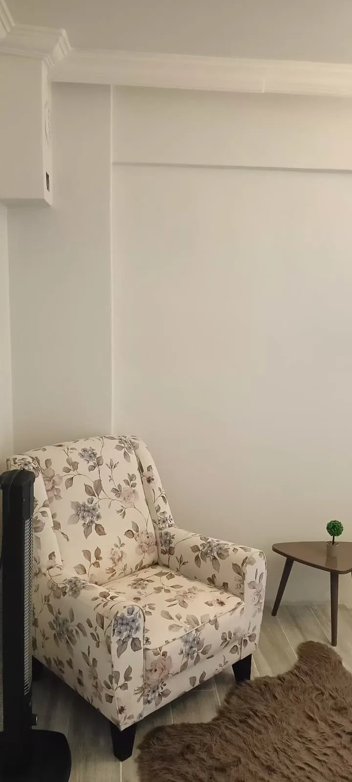 SAKARYA AKYAZI ÇAKIROĞLUNDA SATILIK MÜSTAKİL BAHÇELİ EV görsel 45