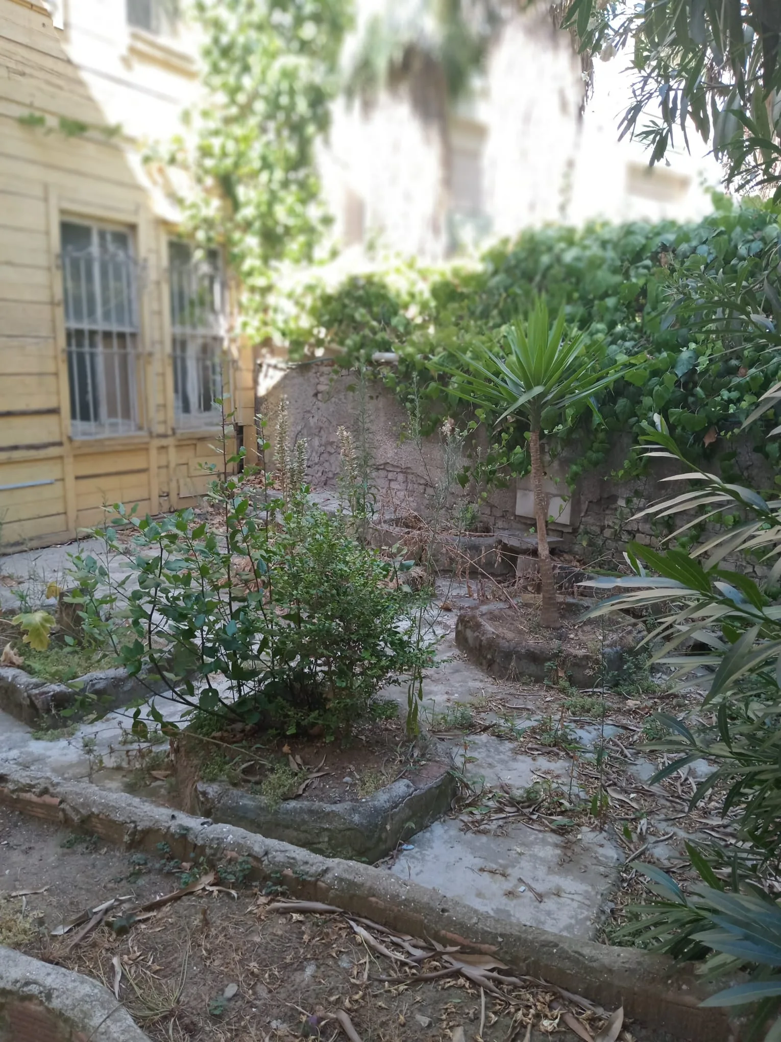 İSTANBUL KADIKÖY KIZILTOPRAKTA SATILIK MÜSTAKİL EV görsel 13
